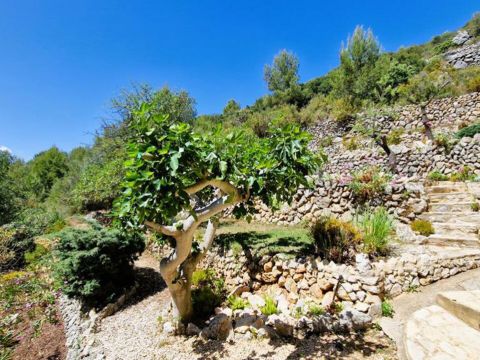Country House | Finca For sale in Tàrbena